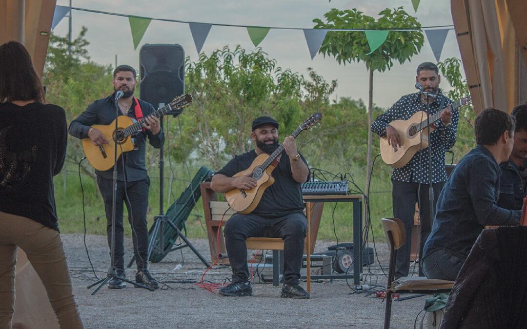 Les concerts de l’été