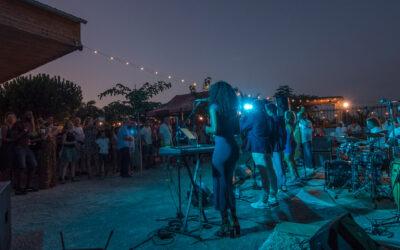 Concerts aux Halles du Verger