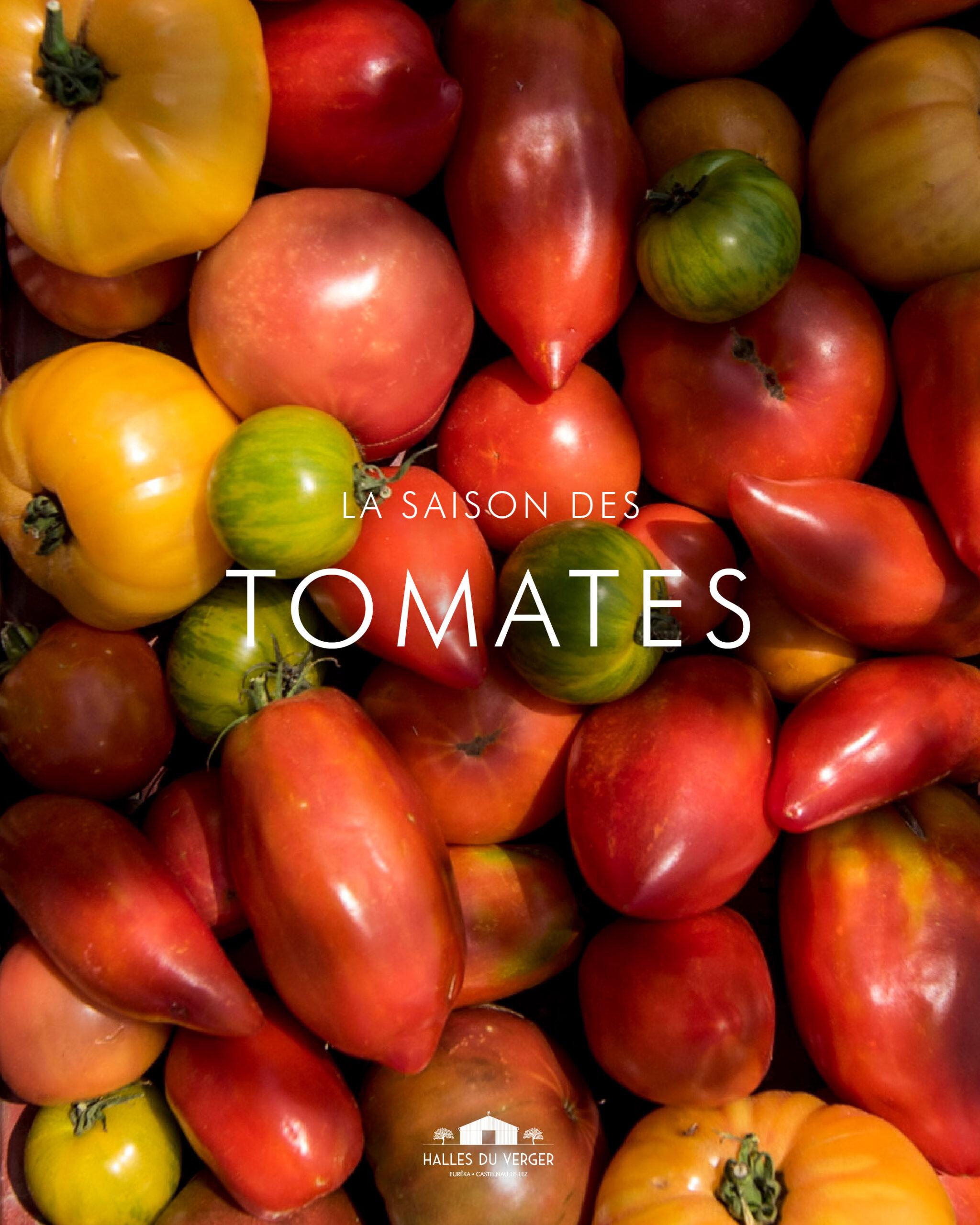 Halles du Verger - tomates