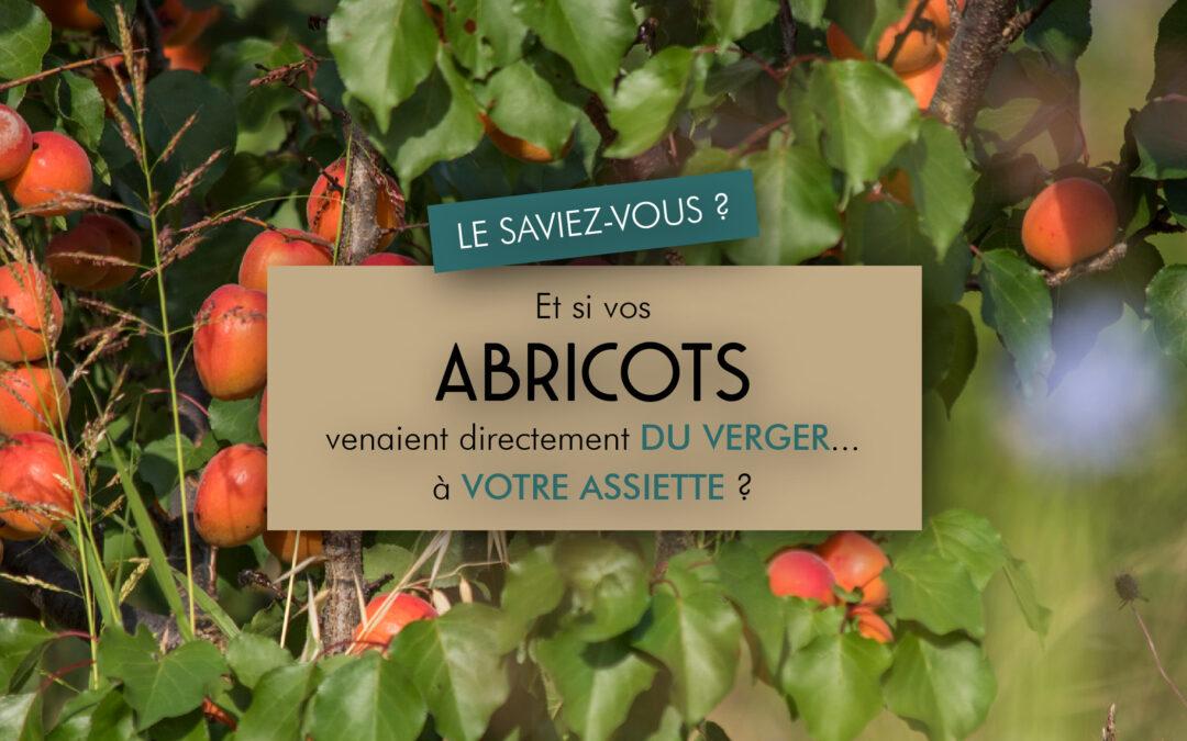 D’où viennent vos abricots ?