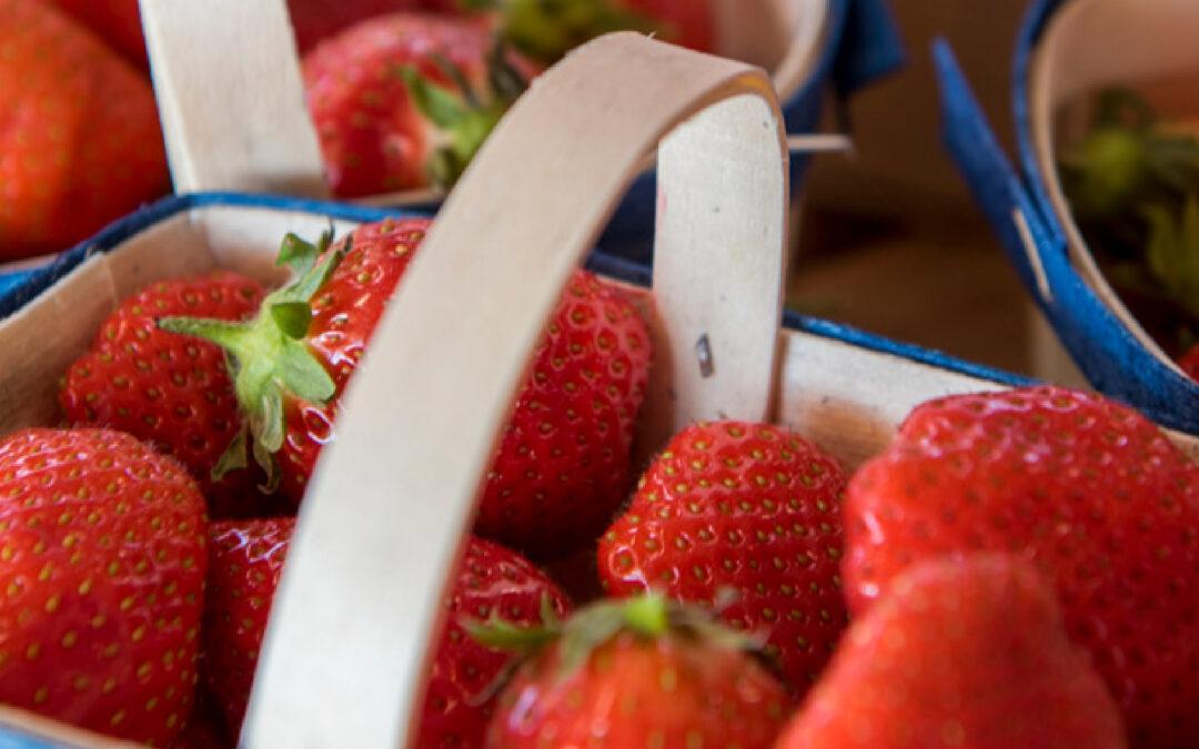 C&rsquo;est le printemps sur les étals