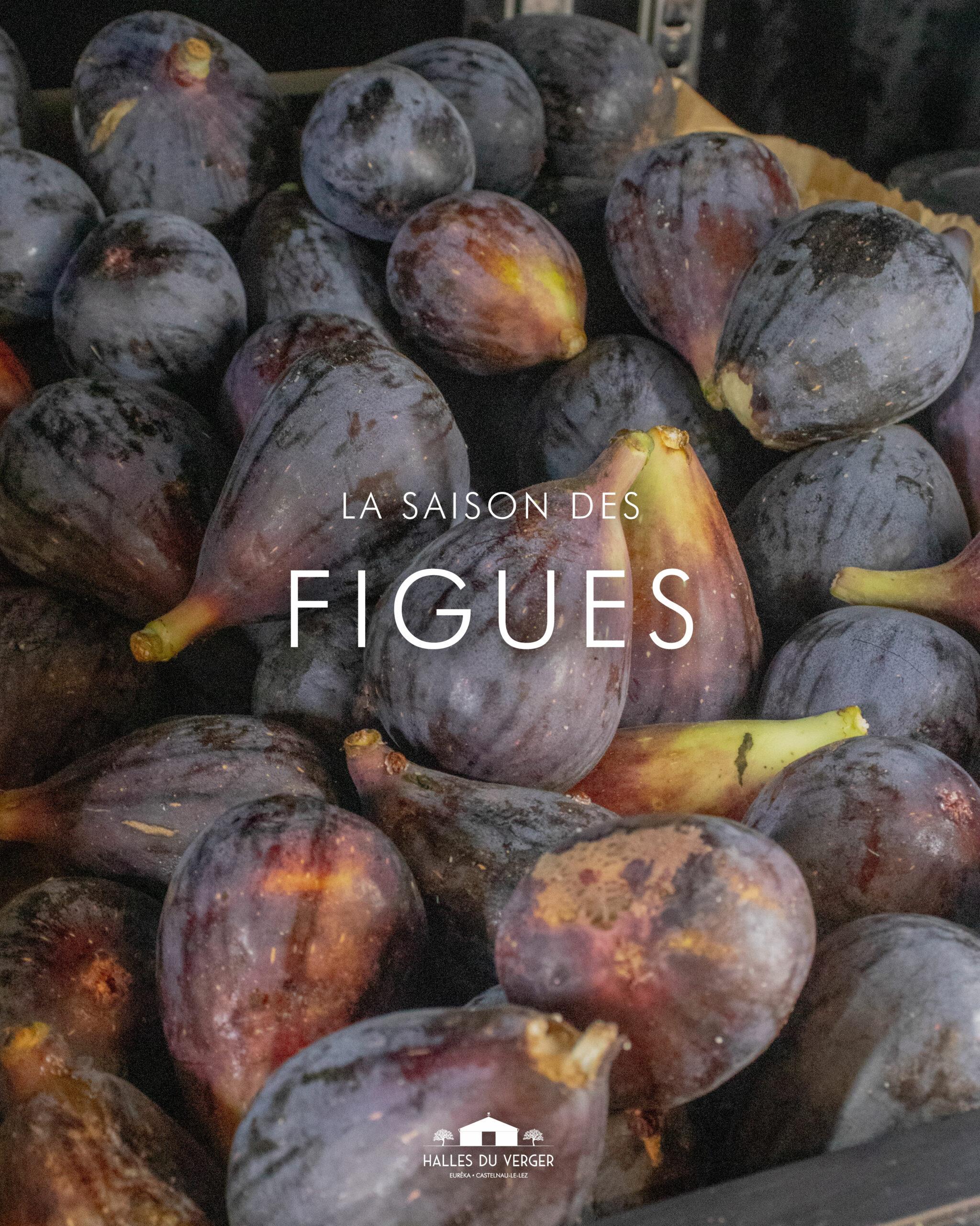 Halles du Verger - courgettes